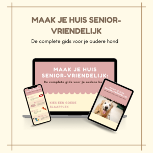 Maak je huis senior-vriendelijk: de complete gids voor de oudere hond